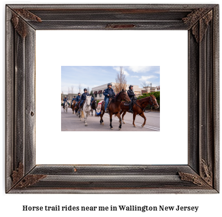 horse trail rides near me in Wallington, New Jersey